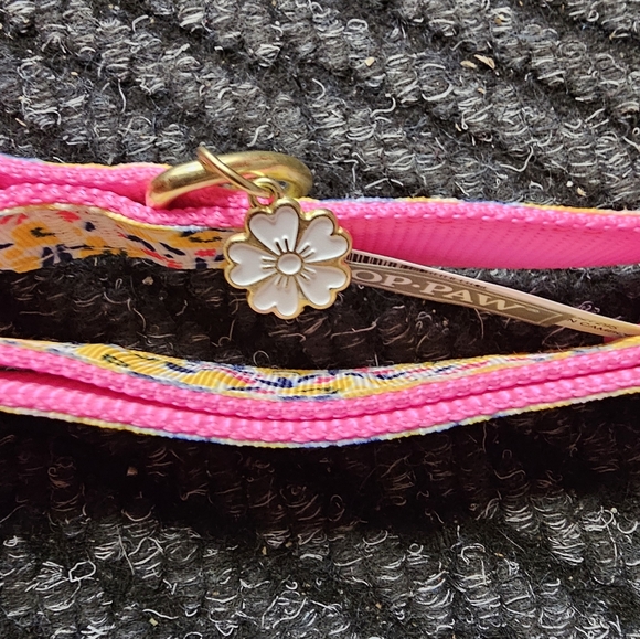 Colorful Collar - Picture 3 of 3